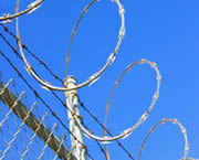 Single Loop Razor Barbed Wire